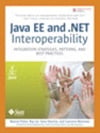 Java EE and .NET Vulnerability