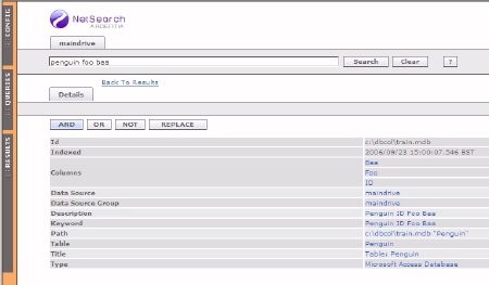 NetSearch correctly interpreting and indexing content