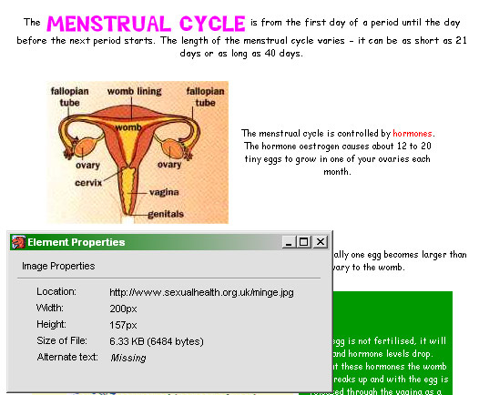 A woman's reproductive parts, as described by Worcestershire Health Authority