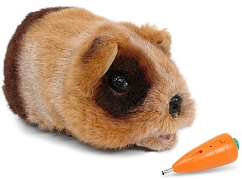 robot guinea pig