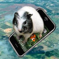 Use your iPhone to create a skysurfing board for your guinea pig