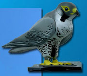 The Robop robotic falcon