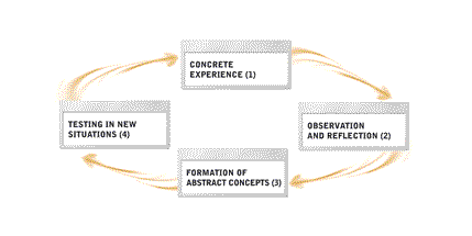 The cycle of learning.