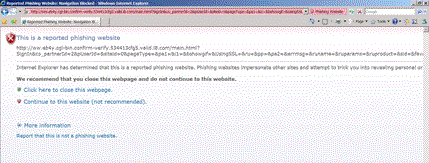 Screenshot showing the phishing alert.