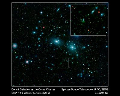 The Coma cluster