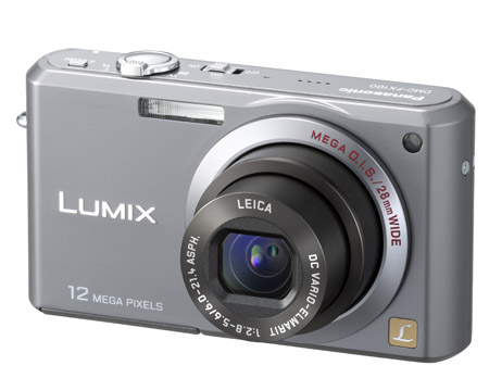 Panasonic DMC- FX100 (silver)