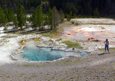 Colourful microbial mats in Octopus Spring in Yellowstone National Park. Credit: David Strong, Penn State University