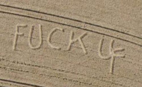 Screen grab of Scottish corn field declaring &quot;Fuck U&quot;