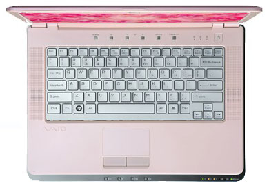 Sony Breast Cancer Vaio