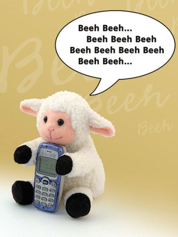 Sheep and mobile phone