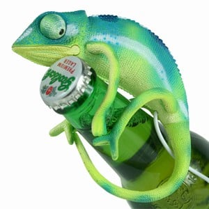 The USB Chameleon