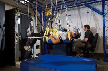 The Standalone Zero Gravity Locomotion Simulator. Sheesh