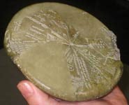 The Planisphere clay tablet. Pic: Bristol University
