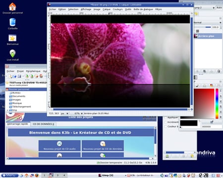 Shot of the Mandriva Desktop 
