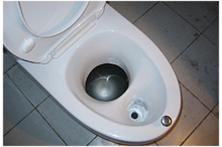 A Carbon Cult-approved toilet