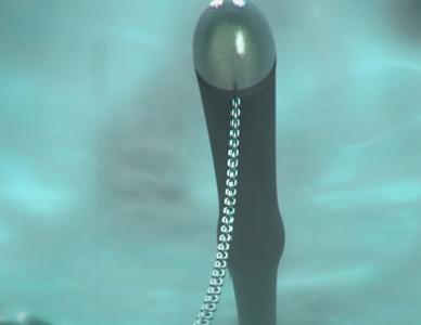 The 'Anaconda' wave power device