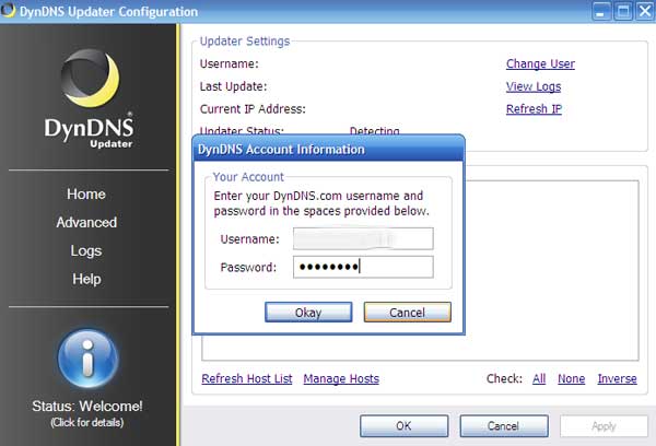 Login screen for DynDNS Updater program