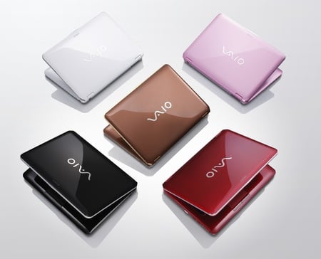 Sony Vaio CS11