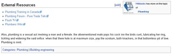 Wikipedia's entry on plumbing, or rather the sexual version