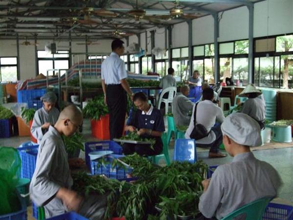 Monks preparing ingredients for crackers