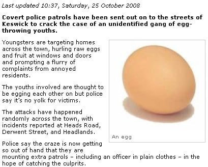 News and Star article containing a photo of an egg captioned An egg