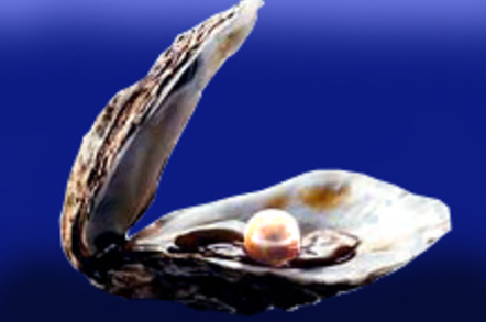 Pearl in oyster