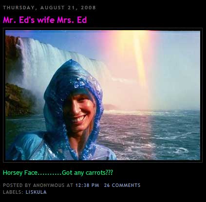 Grab of blog describing Liskula Cohen as Mr. Ed's wife Mrs. Ed