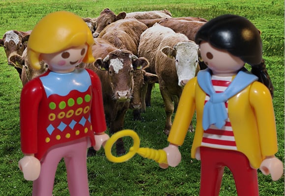 Two Swedes contemplate the failure of their bovine experiment