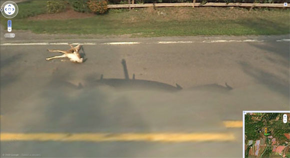 Deer takes a hit from Street View vehicle
