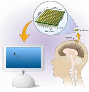 Hasil gambar untuk brain to monitor in electronic