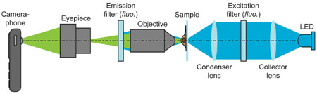cameraphone_microscope_02.jpg
