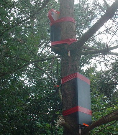 Base stations in trees