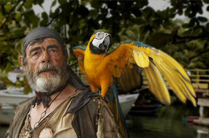 The parrot in a scene from Curse of the Black Pearl. Still: Walt Disney Pictures