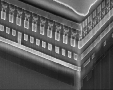 PCMS (phase change memory and switch)