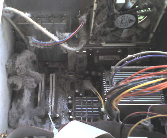 Alien dust growth inside PC case