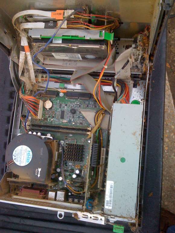 The inside of the Dell, with spider webs, dead cockroaches and roach crap