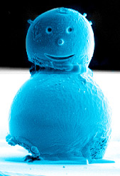 The world's smallest snowman. Pic: NPL
