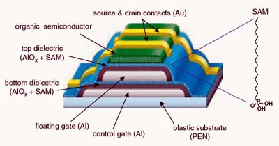 Flexible organic flash transistor