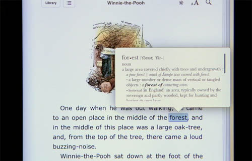 iPad iBooks app