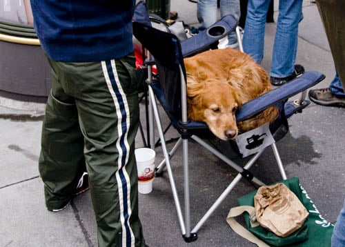 Dog in line at the Stockton Street store