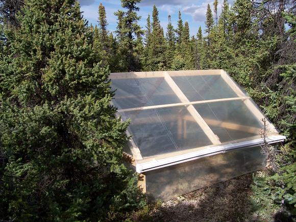 Researchers started a greenhouse warming experiment in Alaska's boreal forest in 2005. Credit: Steven D Allison