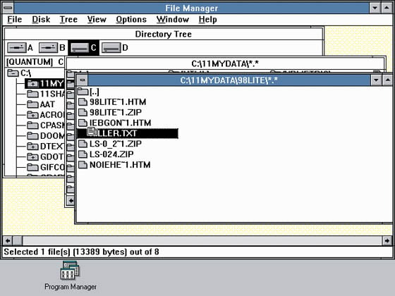 Windows 3.0 File Manager