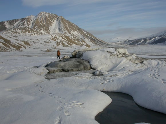 The salt-domed Lost Hammer spring on Axel Heiberg island in arctic Canada. Credit: McGill uni