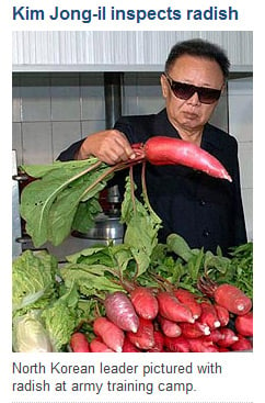 Kim Jong-Il inspects radish on Telegraph front page