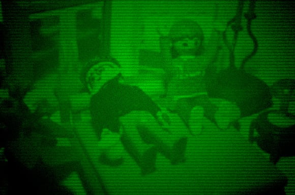 Our night-vision image of the average middle-aged sex session