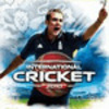 International Cricket 2010