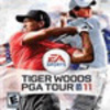 Tiger Woods 2011