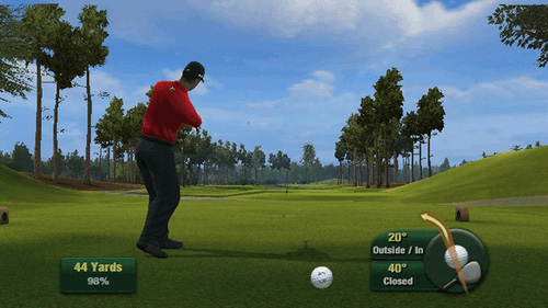 Tiger Woods 2011