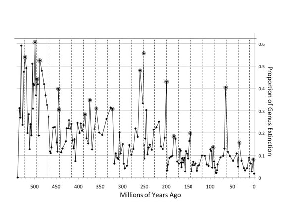 A plot of extinction intensity in the past. Credit: Richard K Bambach, Adrian Melott