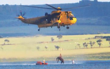 Sea King lifts horse from mud. Pic: RAF